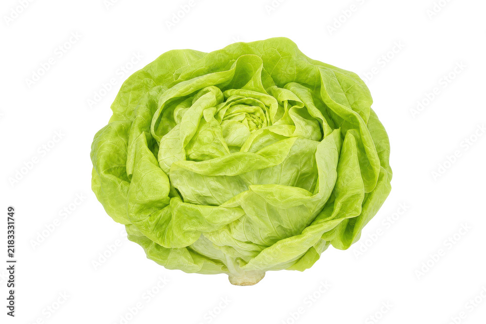 Fototapeta premium Fresh, vibrant green butterhead lettuce head, viewed from directly above, isolated on a clean white background with soft, even lighting
