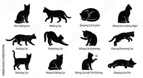 Collection of black cat silhouettes in various poses against a white background