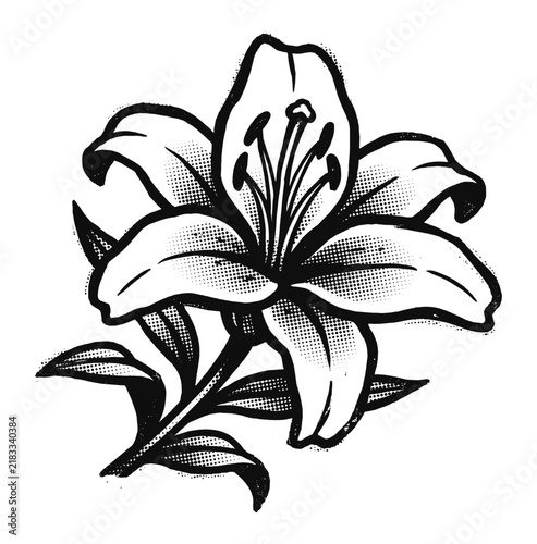 Floral screen print lily flower