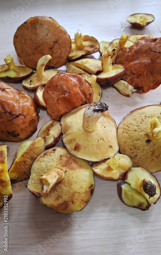 Assortment of freshly picked forest mushrooms on light wooden surface