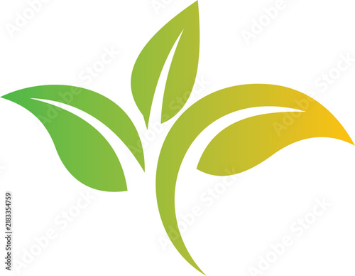 Abstract floral design with green yellow gradient leaves isolated on transparent background for nature branding and eco friendly corporate identity.