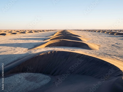 Barchan dunes marching in crescent ranks across flat pale ground