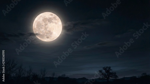 Glowing Supermoon Shining Brightly in Dark Cloudy Night Sky over Silhouette of Trees Landscape