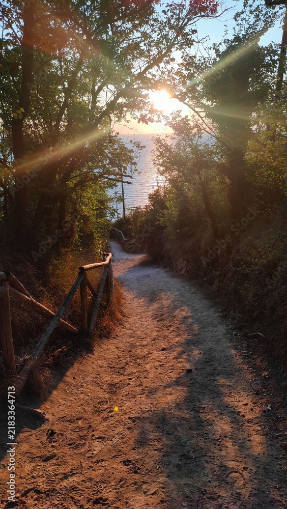 Obraz premium Dirt hiking path leading down through green trees towards the sea at sunrise