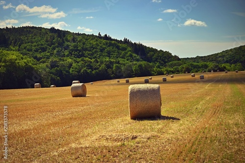 Hay bale in a harvested golden agricultural field under a blue sky