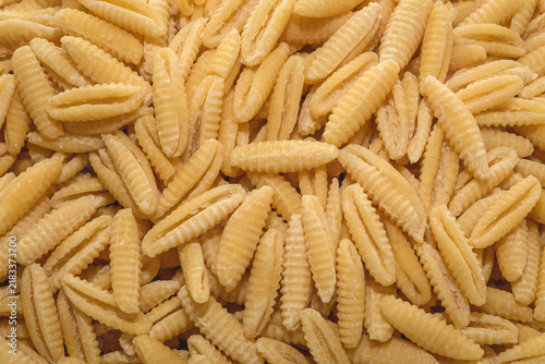 Malloreddus Pasta Close Up
