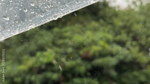 Falling Raindrops from Clear Umbrella Edge with Wide Green Copy Space