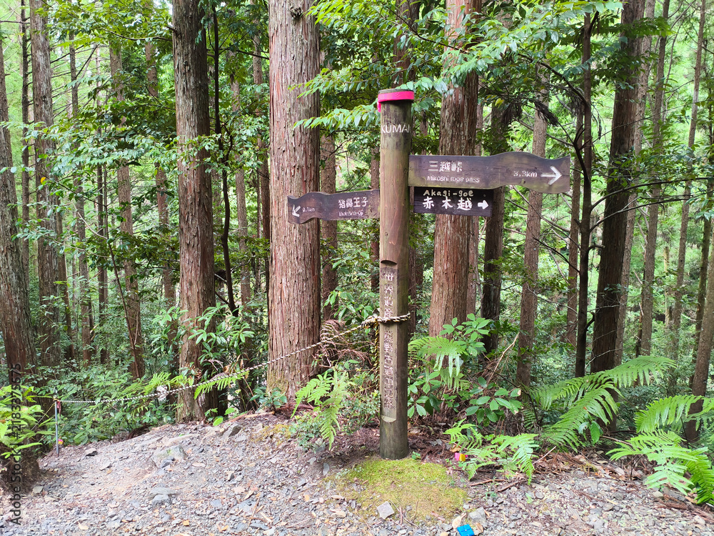 Obraz premium Round Wooden Junction Directional Signpost on Nakahechi Kumano Kodo Pilgrimage, Wakayama - August 2026