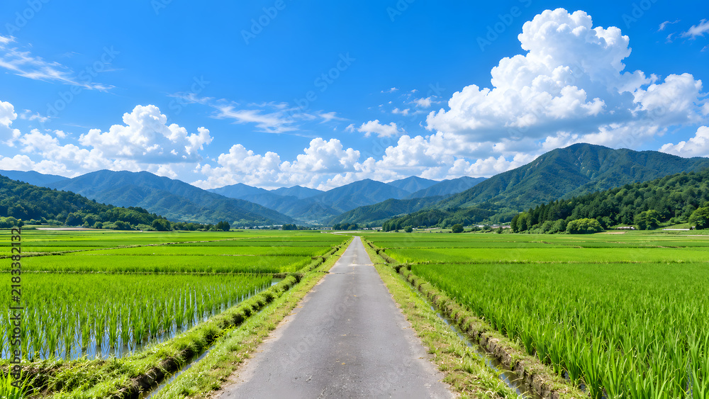 田園風景 稲穂 田園」の写真素材 | 48,098件の無料イラスト画像
