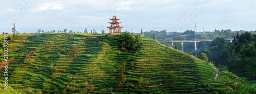 Photography Terraced Tea Hills with Pavilion and Bridge