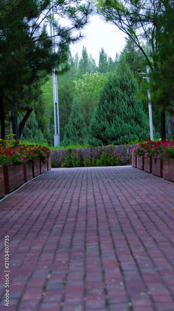 Obraz premium Brick Pathway Through a Lush Park Garden