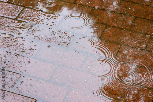 Konstfotografi 歩道の水たまり