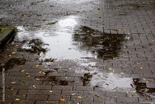 Obraz na płótnie 歩道の水たまり