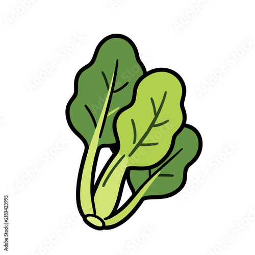 green vegetable leaf color illustration