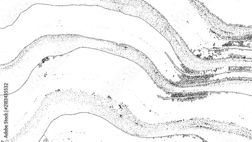 Foto Microscopic view of hippocampal brain tissue showing layered cellular structures