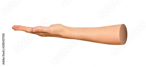 Obraz na plátně palm hold