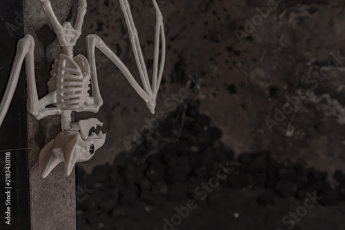 Foto Skeleton of a bat in the dark coal cellar