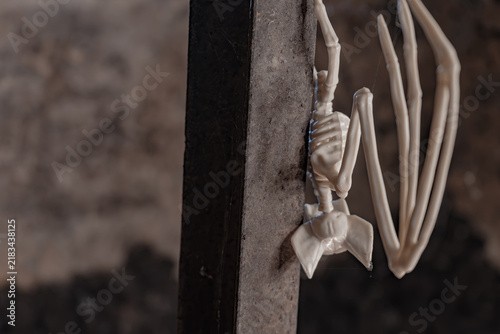 Foto Creepy Halloween decoration in dark coal cellar