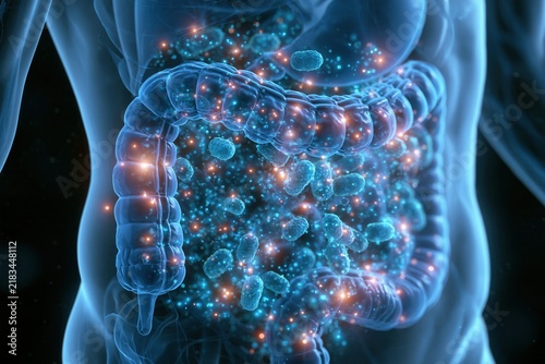 inflammatory process in the intestines