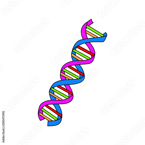 Human DNA strand icon double helix model for scientific and medical research