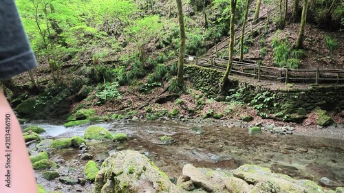 Mountain stream below a wooden bridge in a mossy gorge Hinohara Japan
