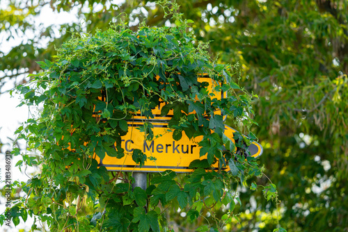 Foto Sign appears