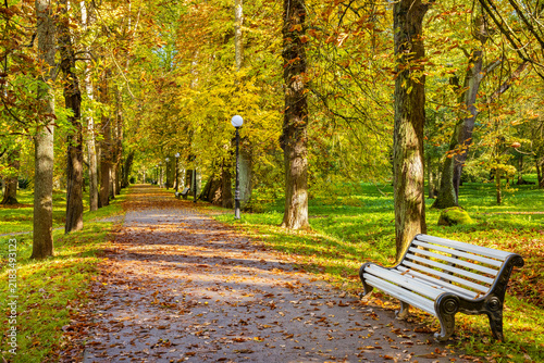 Autumn in urban park. Tallinn, Estonia