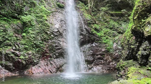 滝