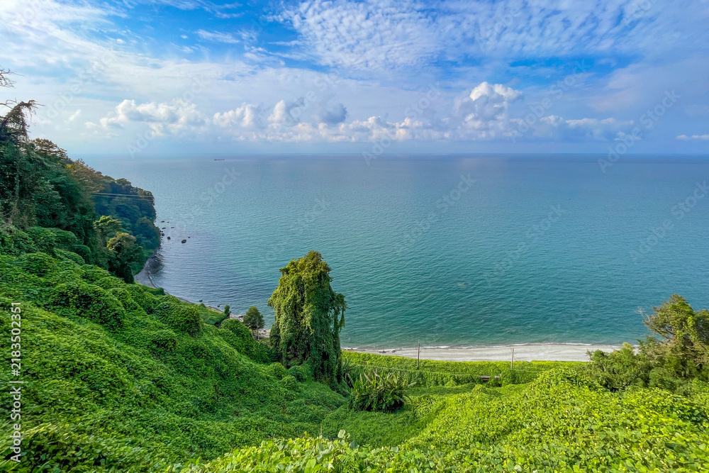 Obraz premium Famous panoramic view of Black Sea coastline and botanical garden green lush