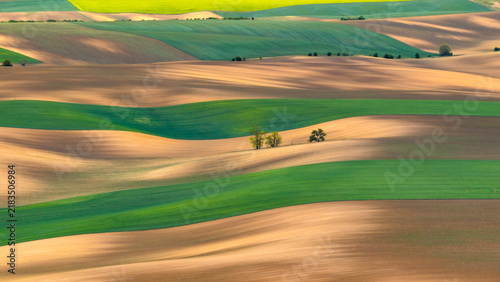 Aerial view of rolling agricultural fields with alternating green and brown soil patterns and gentle slopes in Cejkovice, South Moravian Region, Czechia.