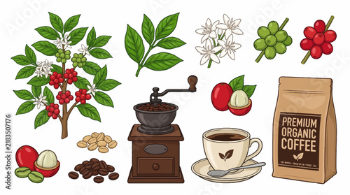 Картината върху платно Very beautiful realistic vector collection of PREMIUM ORGANIC COFFEE featuring s