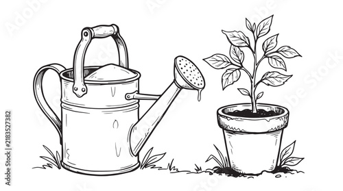Vintage watering can and potted plant vector illustration, hand drawn garden sketch, rustic metal watering pot with growing seedling