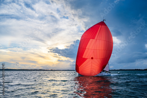 Fotografie Segelboot mit leuchtend rotem Spinnaker auf bewegter See im warmen Gegenlicht, dramatische Wolken und ruhige Küstenlandschaft erzeugen eine dynamische maritime Stimmung