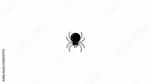 Black Spider Icon Animated Motion Graphic on White Background