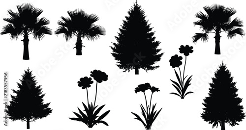 Plant and tree silhouette collection, palm and conifer shapes, flowering plants illustration, botanical diversity artwork, educational nature design concept illustration