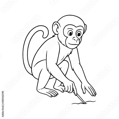 Photography Curious Monkey Drawing in Dirt