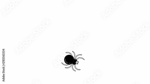 Black Spider Icon Animated Motion Graphic on White Background