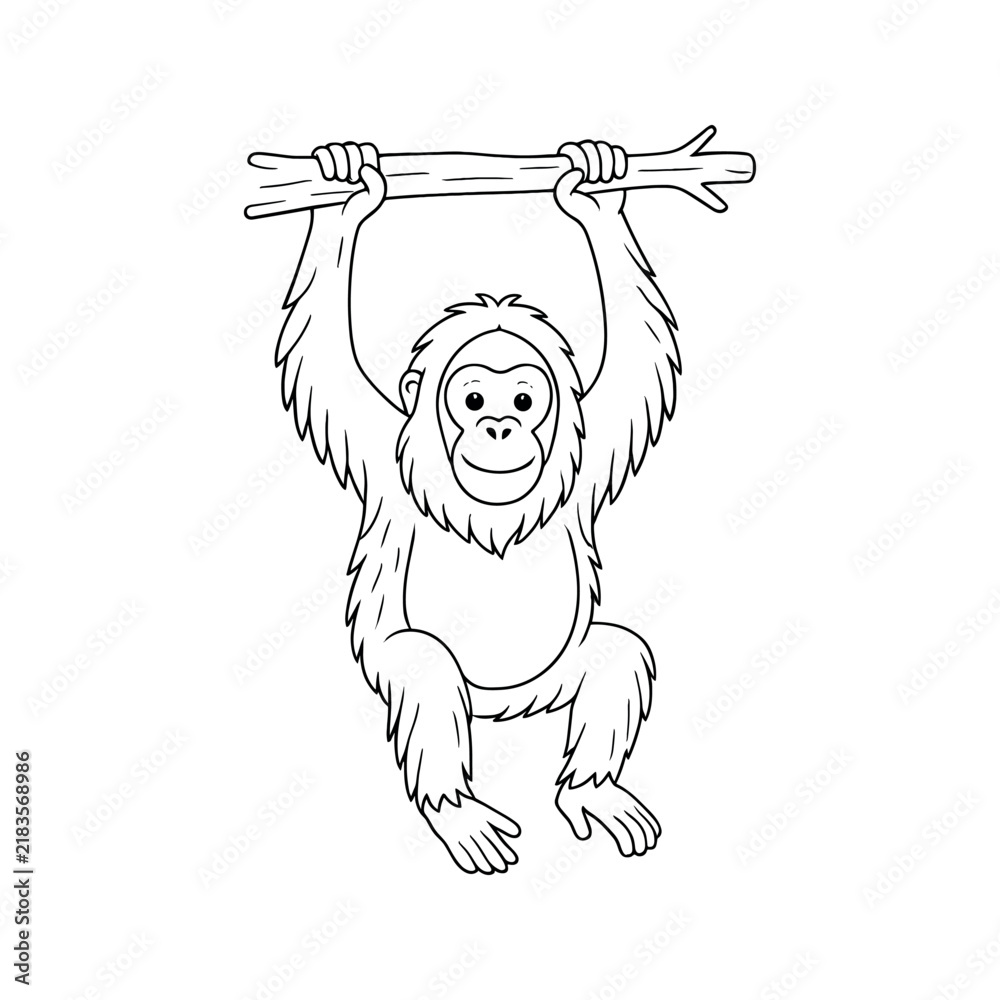 Obraz premium Orangutan Hanging on a Branch