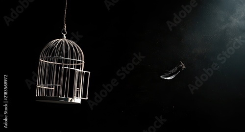 Empty cage hangs as feather floats away in the dark