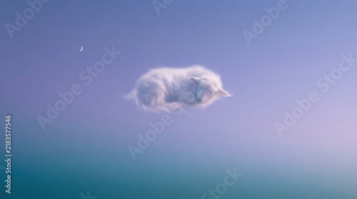 A serene fluffy white cloud shaped like a small curled up puppy dog floating peacefully in a clear pastel sunset sky with a crescent moon above