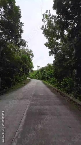 Camera traveling along a tropical road through lush forest