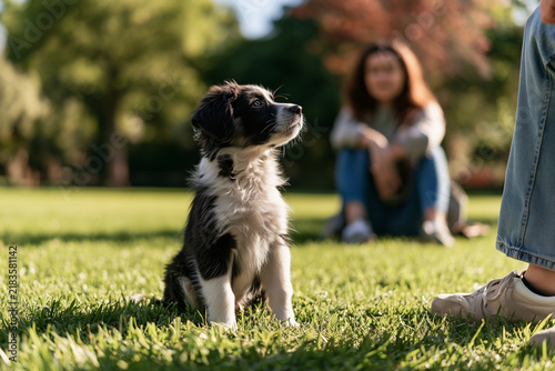 Puppy sitting on command in park, owner nearby on grass  