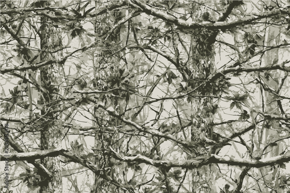 Obraz premium camouflage pattern of tree branches and leaves, camouflage-colored background, mossy camouflage for hunting in the woods.