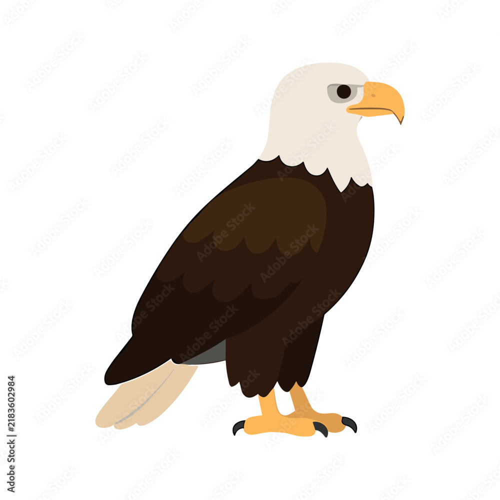 Obraz premium Bald Eagle Illustration