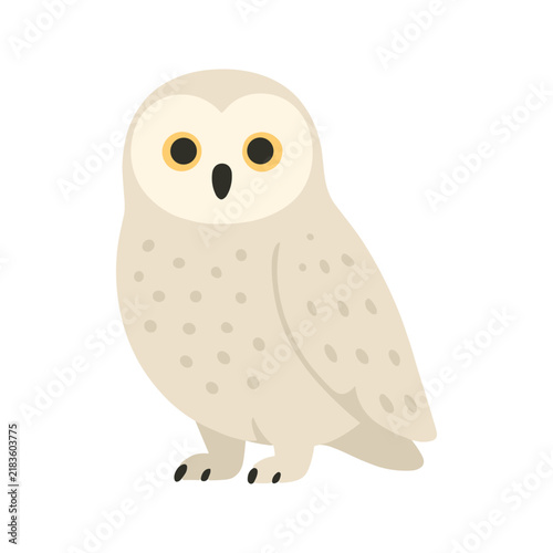 Snowy Owl Illustration