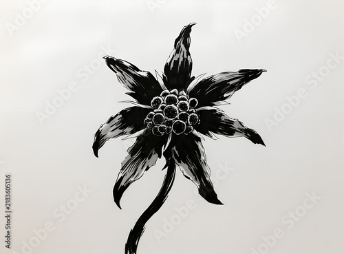 Hand Drawn Black and White Flower with Leaves and Botanical Branch, Elegant Floral Vector Illustration, Nature Silhouette and Decorative Tropical Pattern Design