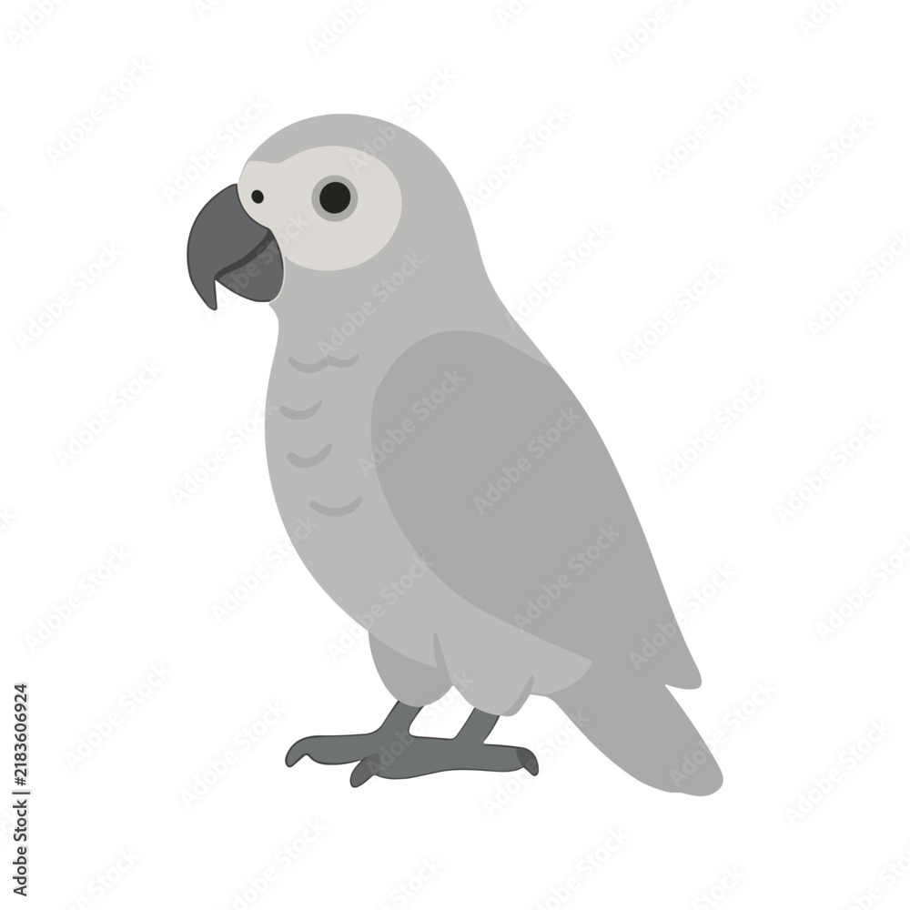 Fototapeta premium African Grey Parrot Illustration