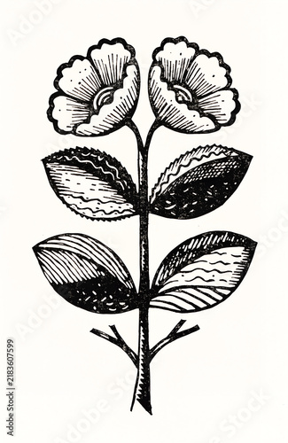 Black and White Floral and Botanical Vector Set with Flowers, Leaves, Branches and Trees, Hand Drawn Nature Icons for Seamless Pattern, Wallpaper and Decorative Design