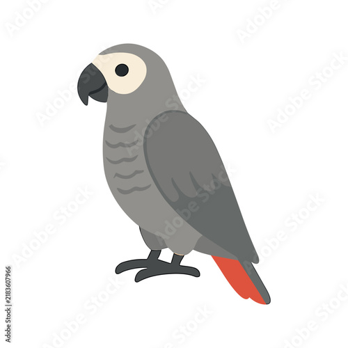 African Grey Parrot Illustration