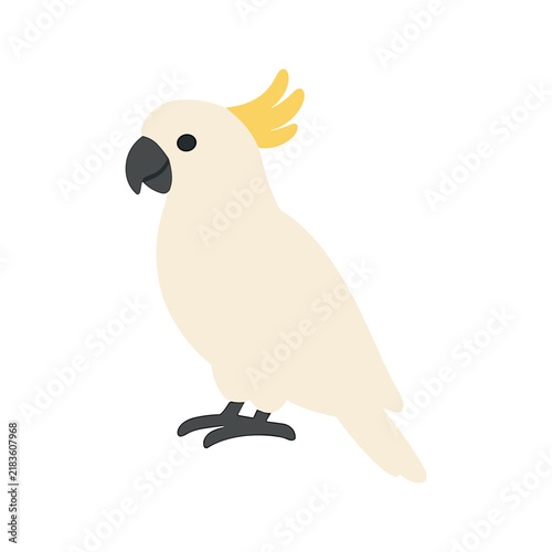 White Cockatoo Bird Illustration